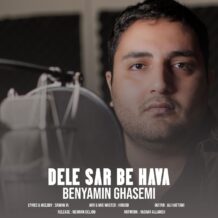 آهنگ جدید بنیامین قاسمی به نام دل سر به هوا